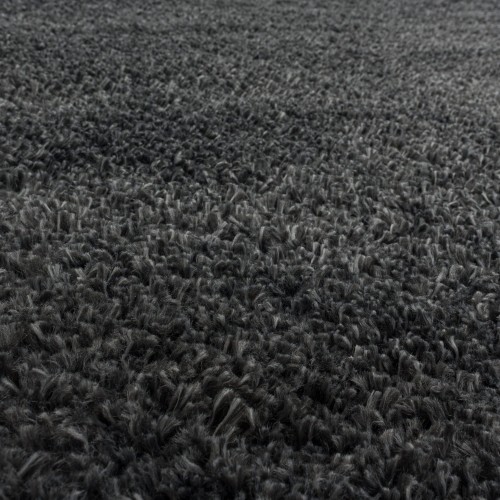 19556